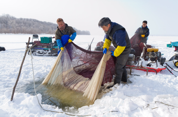 スノーシュー体験／A：わかさぎ氷下漁見学コース（ガイド付き）